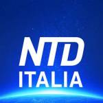 NTD Italia profile picture
