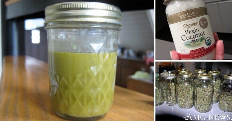 The Cancer Miracles: Cannabis And Coconut Oil Make Powerful Mixture To Kill Cancer Cells | Say NO Chemotherapy and Radiation (video) - American Media Group