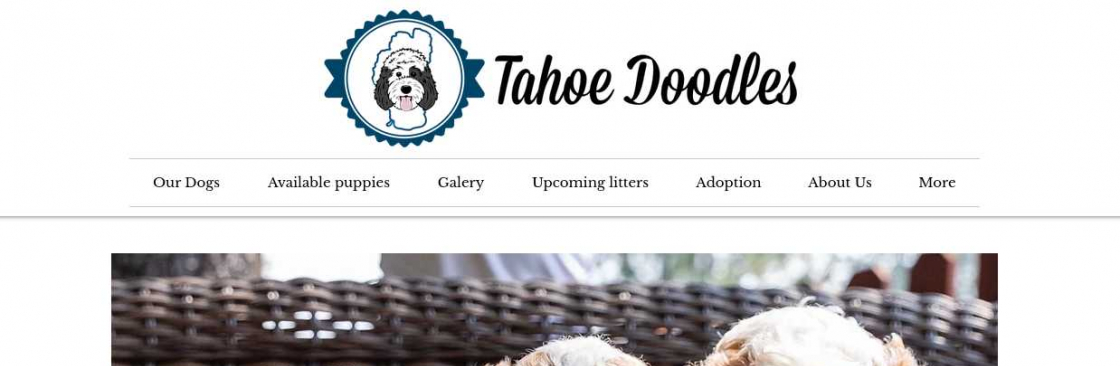 Tahoe Doodles tahoedoodles Cover Image