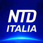 NTD Italia Profile Picture