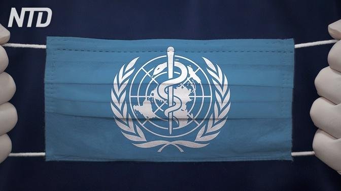 La verità sul Trattato pandemico dell’Oms e l’Agenda 2030, parla Robert Malone | Video | NTD Italia | Gan Jing World